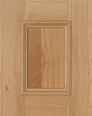 Salem with AM1 Salem with AM1 - 90101