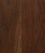 Calico - Hickory Calico - Hickory