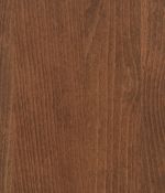 Early Autumn - Beech Early Autumn - Beech