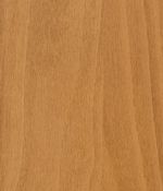 Spiced Cider - Beech Spiced Cider - Beech