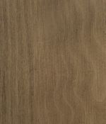 Sepia-Mist Sepia-Mist - Beech